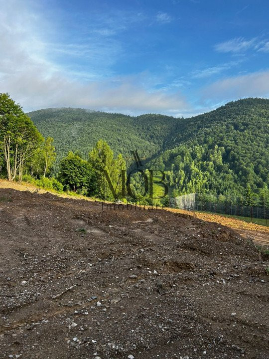 Teren pentru investitie, parcele, utilitati pe pozitie, Rachitele