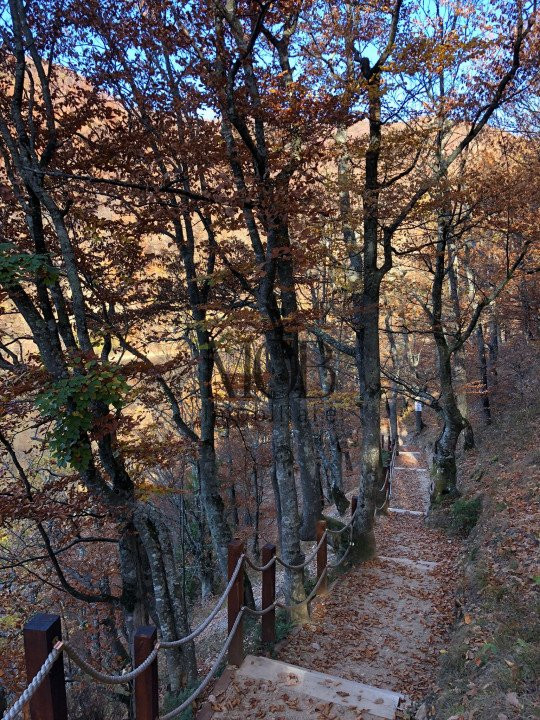 Teren de vanzare, vedere panoramica spre lac, 800mp, Tarnita